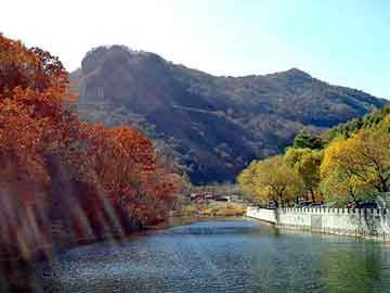 管家婆免费正版资起大全，山魈